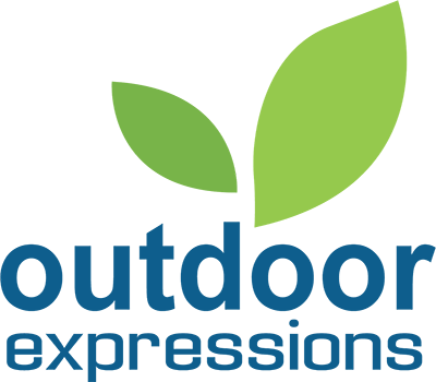 logo-color